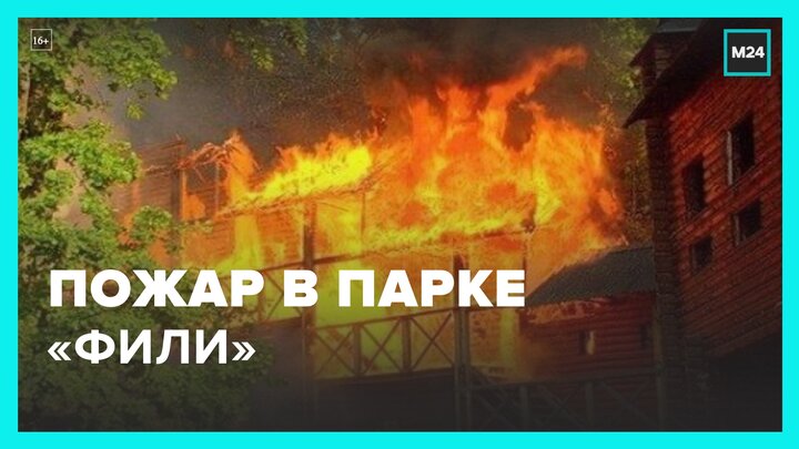 Пожар в парке "Фили" и ДТП на Люблинской улице - Москва 24 смотреть онлайн