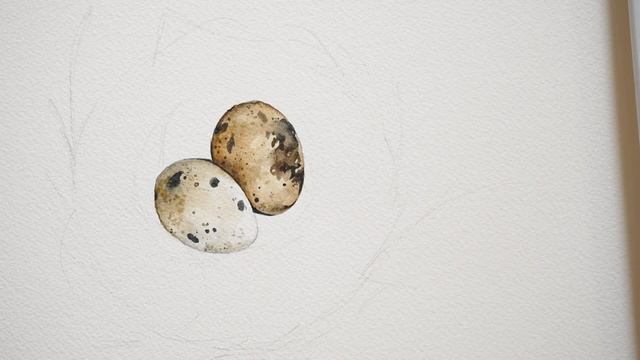 Watercolor Bird's Nest Tutorial смотреть онлайн