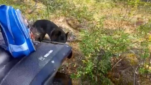 19 апреля 2023 г. смотреть онлайн