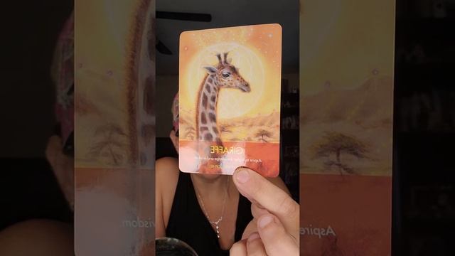 ??Twinflame Daily Energy Read July 22. DM/DF Open your heart to give and receive the highest love ? смотреть онлайн