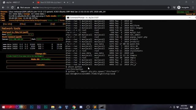 How to Backconnect Shell (Using NetCat + Ngrok) смотреть онлайн