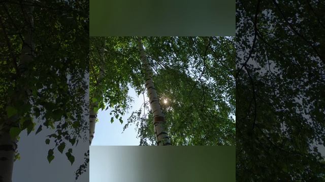 1 июля - ЯРИЛИН ДЕНЬ ☀️☀️☀️ смотреть онлайн