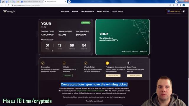 Как работает Waggle Network | Полный обзор IDO площадки смотреть онлайн