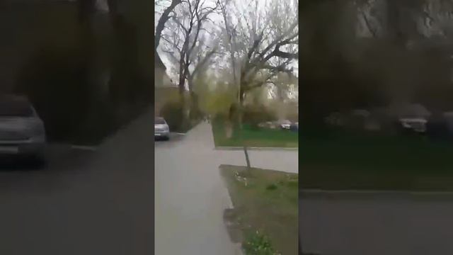 Весна в разгаре 2018 Таганрог. смотреть онлайн