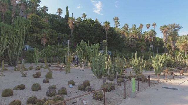 Секретные места Барселоны, Тропический рай или парк кактусов смотреть онлайн
