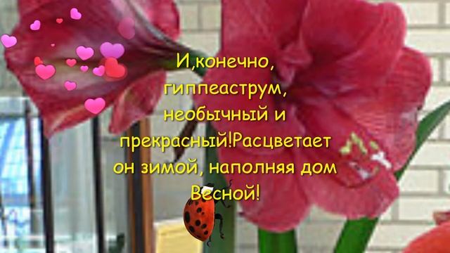 Творческий ореол