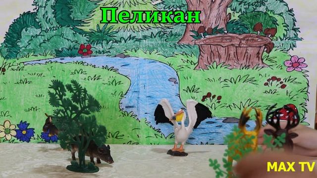 Дикие животные. Обучающее видео для детей. Игрушечные животные и настоящие со звуками. смотреть онлайн