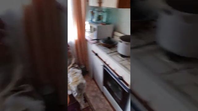 Готовим быстро и вкусно с Эвелиной