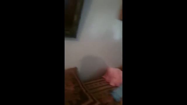 ИСПУГАЛСЯ? ОБОСРАЛСЯ! Ржачная подборка испугов! Смотреть всем! смотреть онлайн