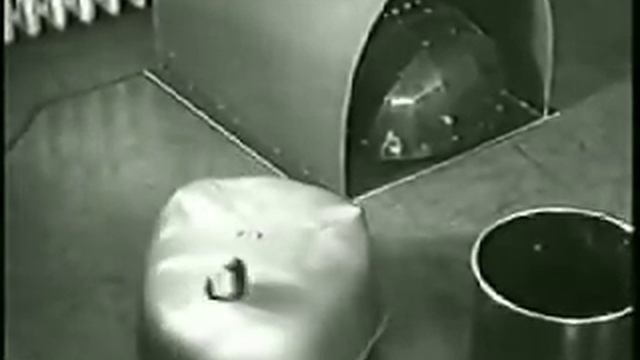 Grey Walter's Tortoises