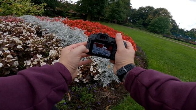 Canon EOS RP + RF 50mm F1.8 - BEST BUDGET Camera SETUP For Pro Photography?