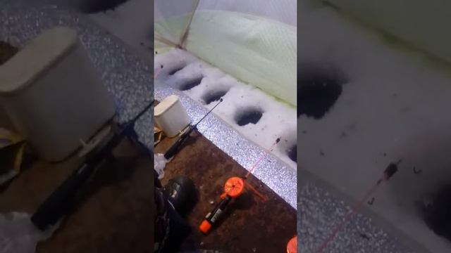 Беликуль 2019 смотреть онлайн