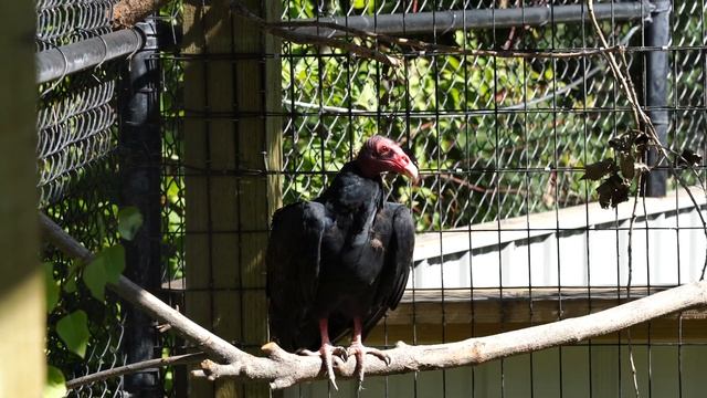 15 Things to do in Billings, Montana смотреть онлайн