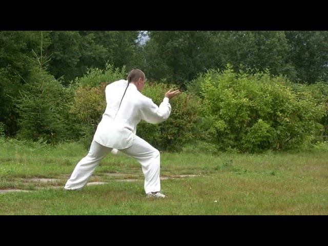 2.Чень ши тайцзицюань - Первый комплекс 83 формы вид сзади смотреть онлайн