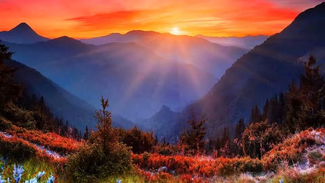 Вот бреду я Федор Тютчев стих смотреть онлайн