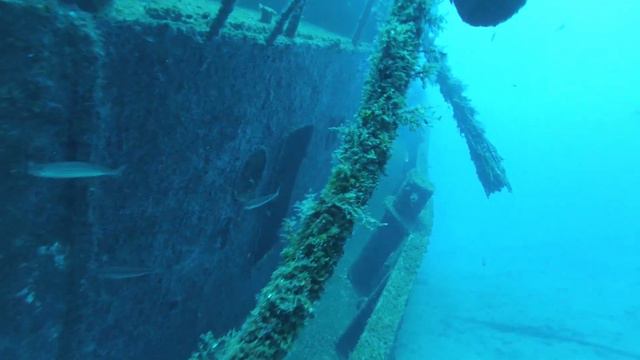 Diving Tenerife Tabaiba - Best dive sites смотреть онлайн