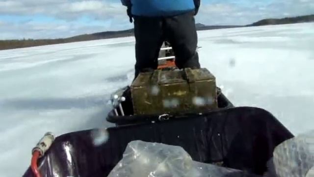 Форум любителей мотособак www.motodog.ru смотреть онлайн