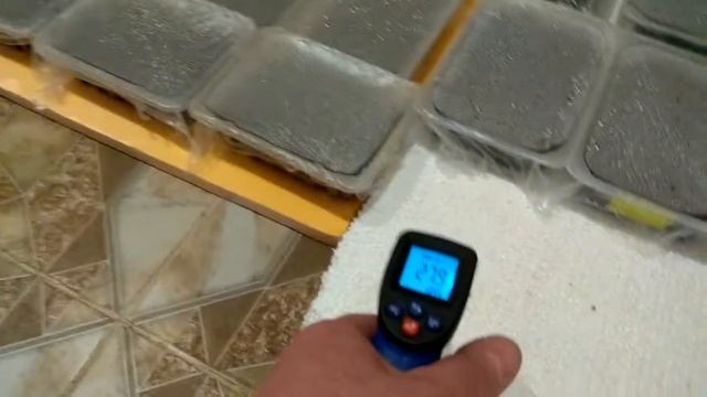 Проращивание семян.Рассада. Помидоры взошли за 4 дня !!! смотреть онлайн