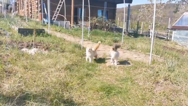 Один день из жизни помещика смотреть онлайн