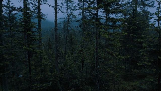 Звуки природы в ущелье реки Мамай, Бурятия. Лето 2023 года. смотреть онлайн