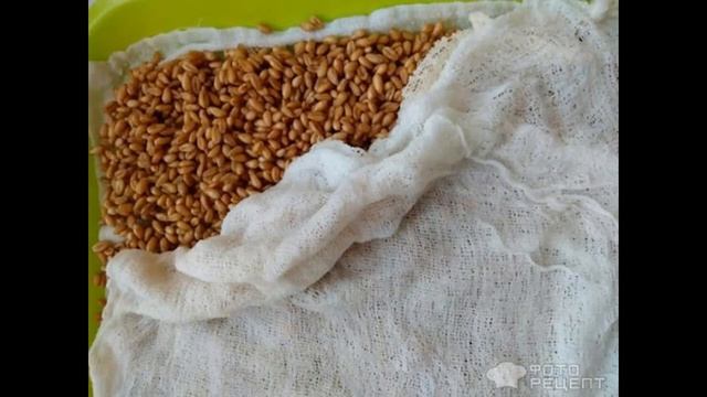 ПРОВЕРЕННЫЕ РЕЦЕПТЫ ОТ СТАРОСТИ смотреть онлайн