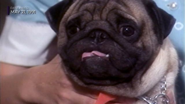 Unexplained | Episode 1 | Python In The Mall (Robinson's Mall Urban Legend) смотреть онлайн