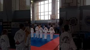 экзамен на желтый пояс тхэквондо