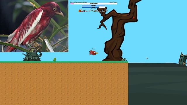 Flyordie.io Birds in Real Life - All New Evolutions смотреть онлайн