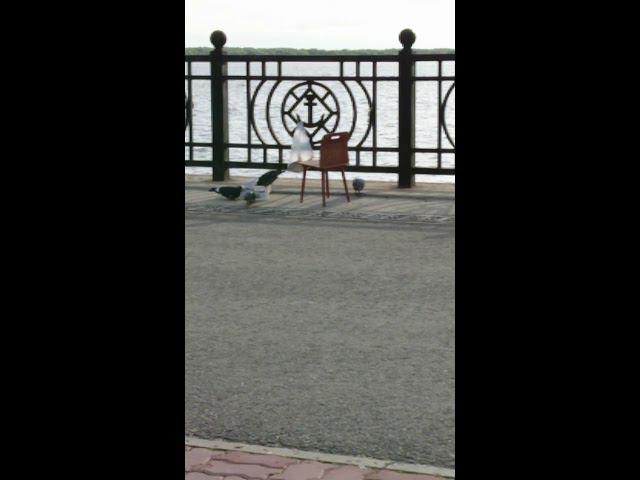 14 августа 2018 г. смотреть онлайн