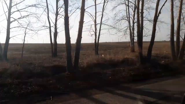 🐜Нападение насекомых в Сибири.🐜🐞🐌🐛🐝 смотреть онлайн