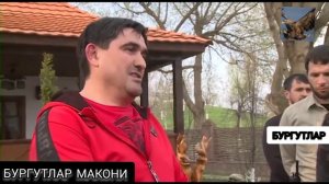 Рамзан Кадыров жестко отчитал вор закон Асланбек Ахмеджанов за недостойное поведение