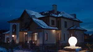 Ёлки лохматые