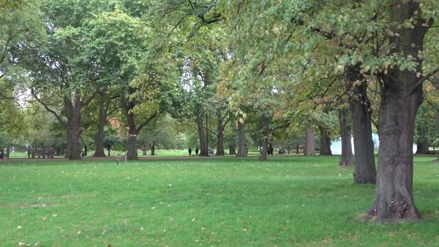 King's Troop Royal Horse Artillery: Royal Salute 10/09/22 смотреть онлайн