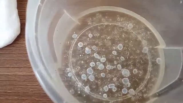 Руководство к Успеху