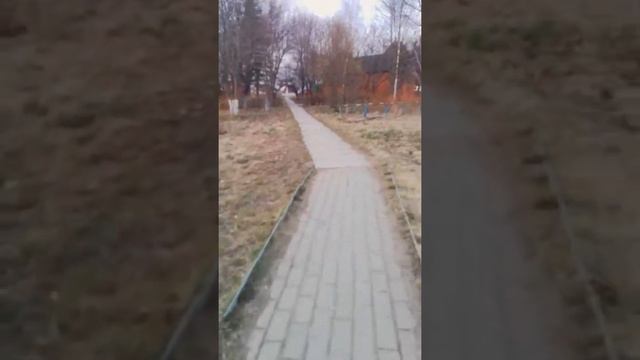 Идем на треню ,, Самбо" смотреть онлайн