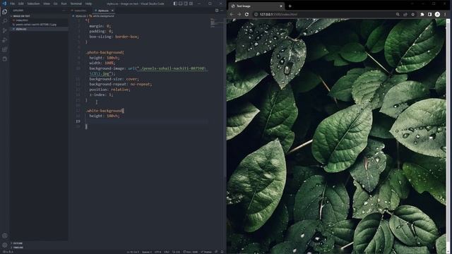 How To Put An Image in Text using HTML & CSS | Web Design | Clip Image To Text With CSS смотреть онлайн