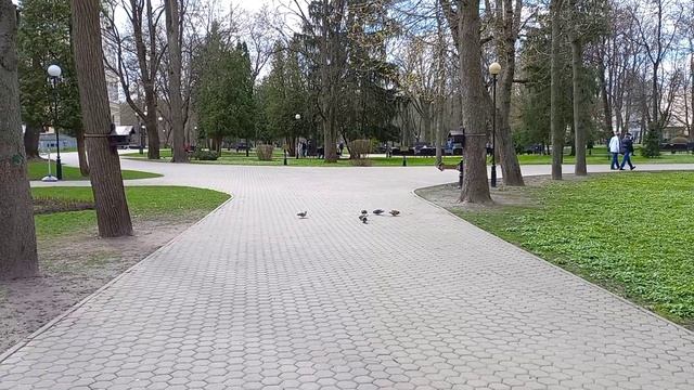 Беларусь Позвоните Домой Гомель смотреть онлайн
