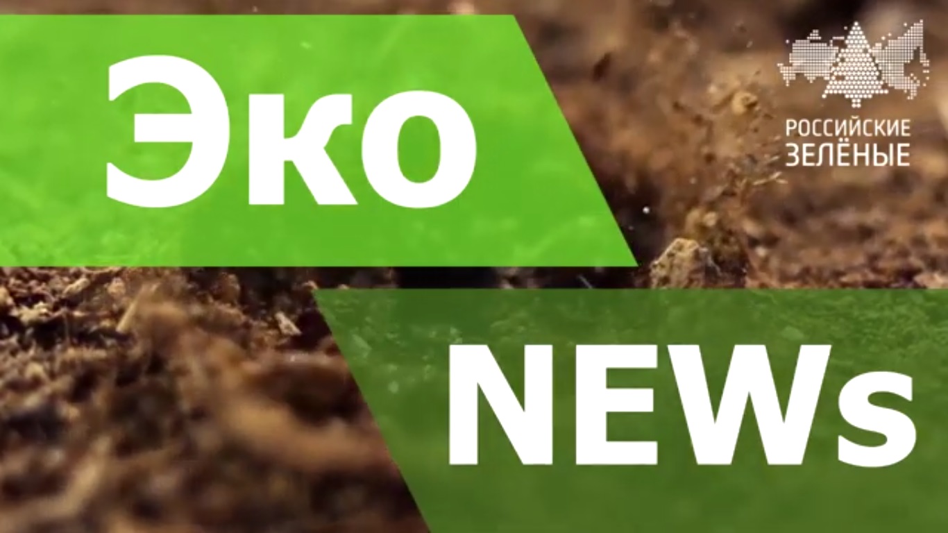 ЭКО НОВОСТИ