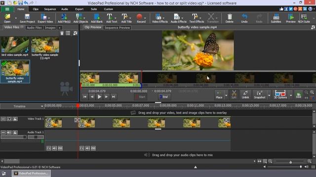 How to Cut or Split Video | VideoPad Video Editing Tutorial смотреть онлайн