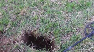 Equinox 900, Manticore, Deus II, CTX 3030: Мега тесты ч.2