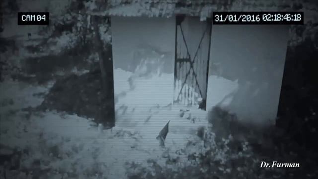 Жуткие нападения Призраков на Людей ОЧЕНЬ СТРАШНЫЕ паранормальные случаи смотреть онлайн