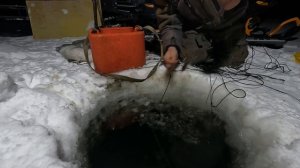 Перемет с каждой проверкой набирает обороты🤫