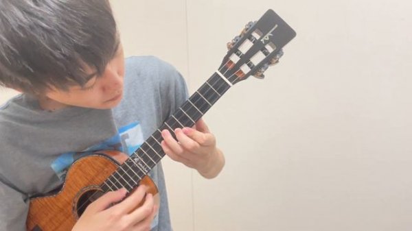Hopes and Dreams / Undertale [ukulele cover]