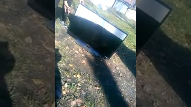 Бараны разбили плазму смотреть онлайн