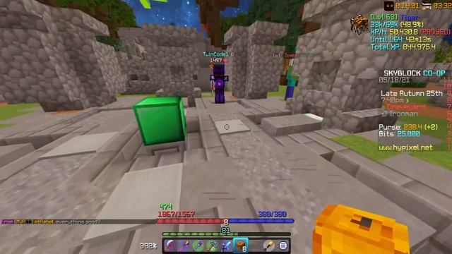 I GOT A LEGENDARY SKELETON HORSE PET... (Hypixel Skyblock Ironman) #65 смотреть онлайн