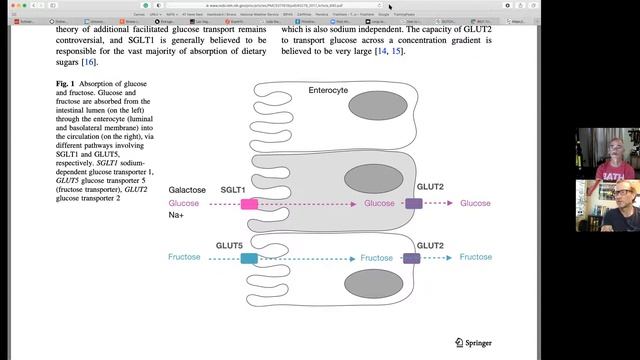 The Evidence Based Triathlete - The Gut. смотреть онлайн