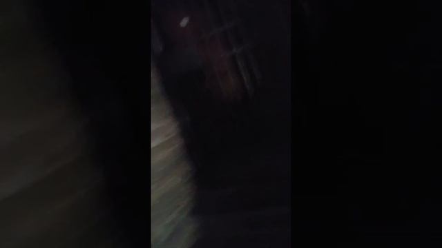 Лестница Исаакиевского собора смотреть онлайн