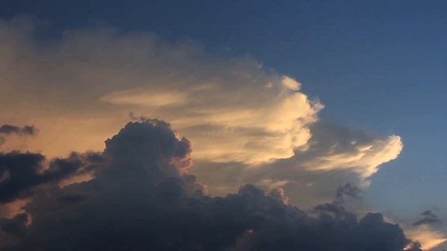 Геккона подарили СЫНУ, а пострадала МАТЬ смотреть онлайн