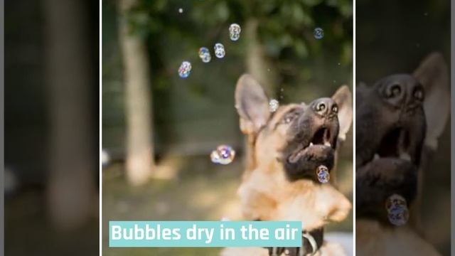 IncrediBubbles смотреть онлайн