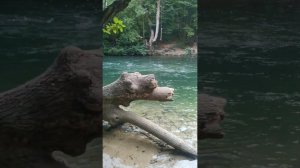 Чернореченский каньон.